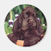 Chocolade cocker magneet (Voorkant)
