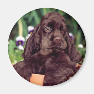 Chocolade cocker magneet