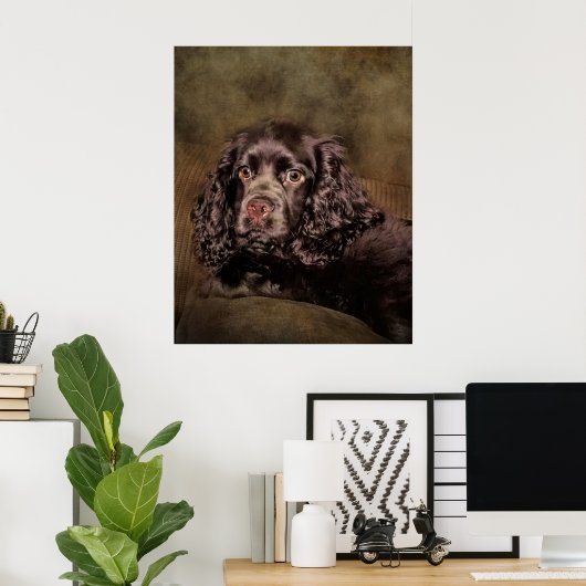 Chocolade Cocker Spaniel Poster (Thuiskantoor)