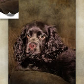 Chocolade Cocker Spaniel Poster