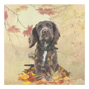 Chocolade cocker spaniel puppy foto afdruk