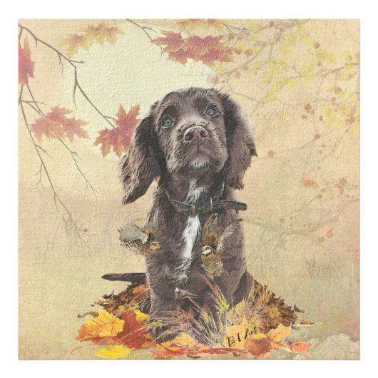 Chocolade cocker spaniel puppy   foto afdruk (Voorkant)
