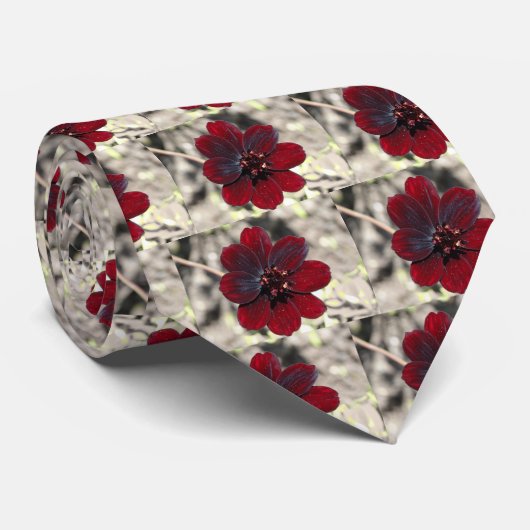 Chocolade Cosmos Bloem Stropdas (Opgerold)