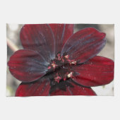 Chocolade Cosmos Flower Theedoek (Horizontaal)