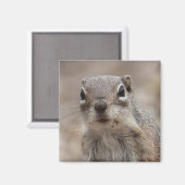 Chocolade donut gezicht eekhoorn magneet (Voorkant / Achterkant)