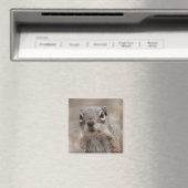 Chocolade donut gezicht eekhoorn magneet (Insitu (Vaatwasser))