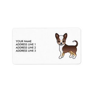 Chocolade Driekleurige Gladharige Chihuahua Mooie  Etiket