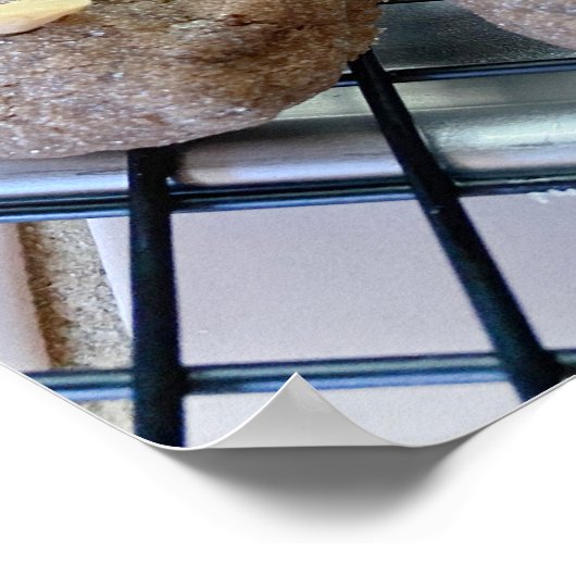 Chocolade en amandelkoekjes poster (Hoek)