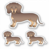 Chocolade En Bruine Gladharige Dachshund Mooie Hon Sticker (Voorkant)