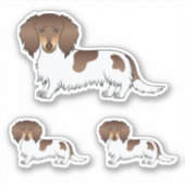 Chocolade En Lichtbruine Bont Langharige Dachshund Sticker (Voorkant)