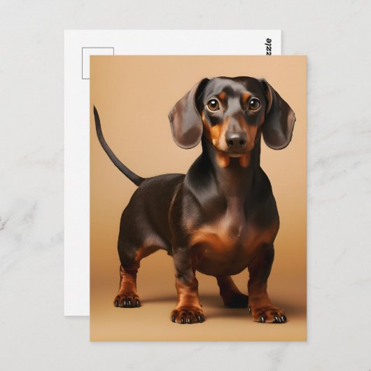 Chocolade en Tan Dachshund Dog Briefkaart (Voorkant / Achterkant)
