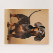 Chocolade en Tan Dachshund Dog Legpuzzel (Horizontaal)