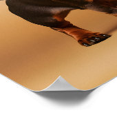 Chocolade en Tan Dachshund Dog Poster (Hoek)