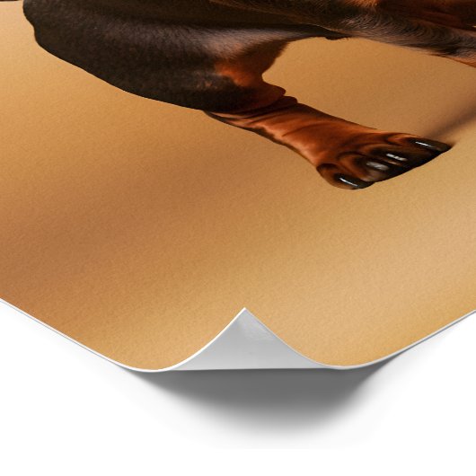 Chocolade en Tan Dachshund Dog Poster (Hoek)