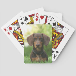 Chocolade en Tan Dachshund - Doxie Dog Pokerkaarten