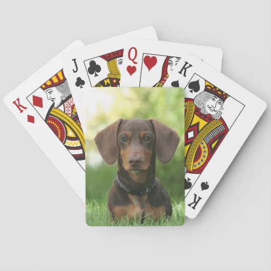Chocolade en Tan Dachshund - Doxie Dog Pokerkaarten (Achterkant)