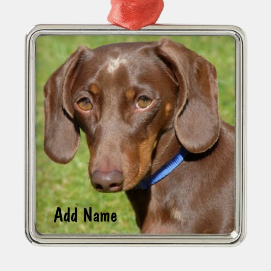 Chocolade en Tan Dachshund - Doxie Metalen Ornament (Voorkant)