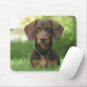 Chocolade en Tan Dachshund - Doxie Muismat (Met muis)