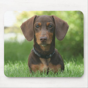 Chocolade en Tan Dachshund - Doxie Muismat