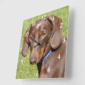 Chocolade en Tan Dachshund - Doxie Vierkante Klok (Hoek)