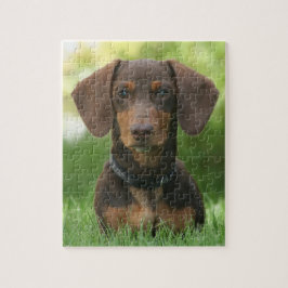 Chocolade en tan Dachshund Legpuzzel