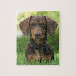 Chocolade en tan Dachshund Legpuzzel