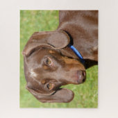 Chocolade en tan Dachshund Legpuzzel (Verticaal)