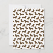 Chocolade en Tan Dachshund Notitiekaartje (Achterkant)