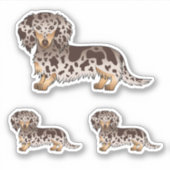 Chocolade en Tan Dapple Long Hair Dachshund Dogs Sticker (Voorkant)