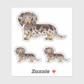Chocolade en Tan Dapple Long Hair Dachshund Dogs Sticker (Vel)