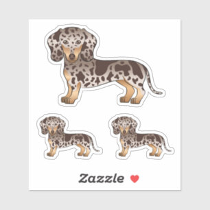 Chocolade en Tan Dapple Short Hair Dachshund Dog Sticker