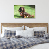 Chocolade en Tan Long-hire Miniature Dachshund Canvas Afdruk (Insitu (Slaapkamer))