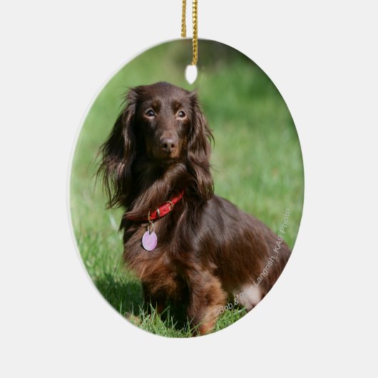 Chocolade en Tan Long-hire Miniature Dachshund Keramisch Ornament (Rechts)