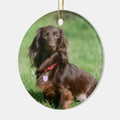 Chocolade en Tan Long-hire Miniature Dachshund Keramisch Ornament (Links)