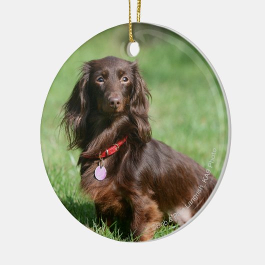 Chocolade en Tan Long-hire Miniature Dachshund Keramisch Ornament (Links)
