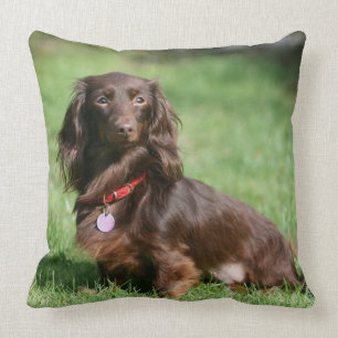 Chocolade en Tan Long-hire Miniature Dachshund Kussen