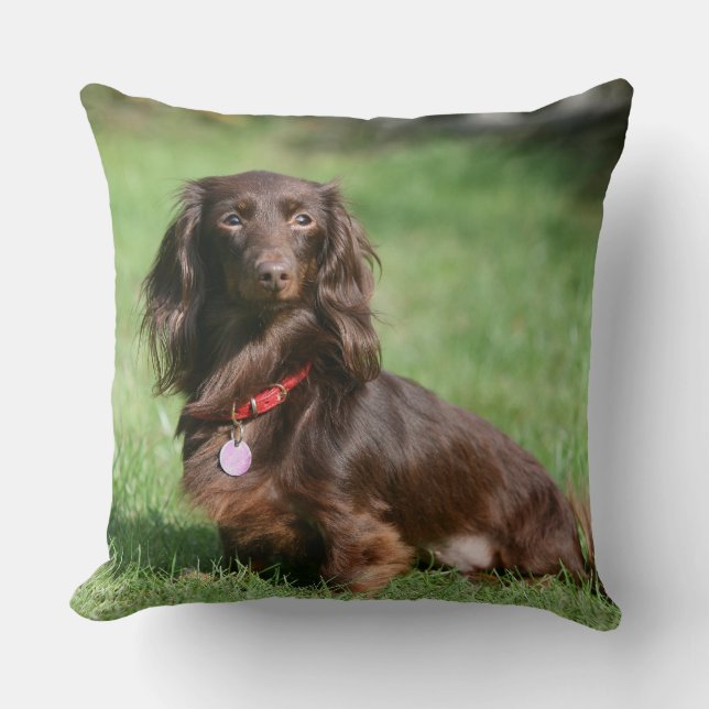 Chocolade en Tan Long-hire Miniature Dachshund Kussen (Voorkant)