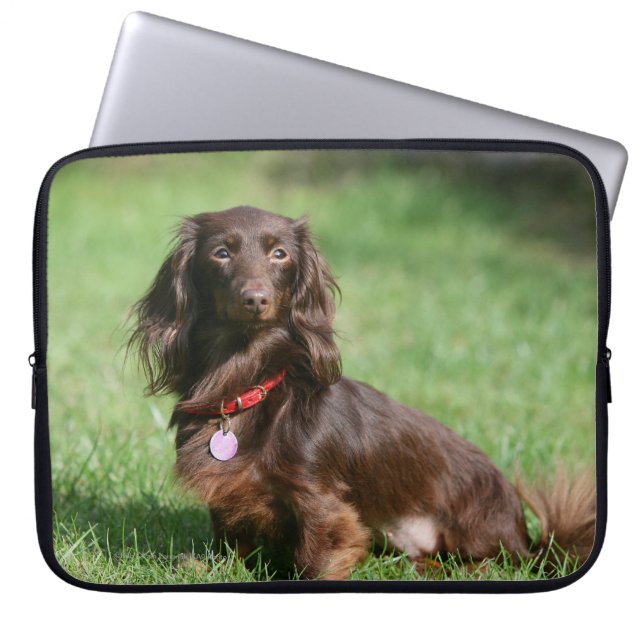 Chocolade en Tan Long-hire Miniature Dachshund Laptop Sleeve (Voorkant)