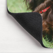 Chocolade en Tan Long-hire Miniature Dachshund Muismat (Hoek)