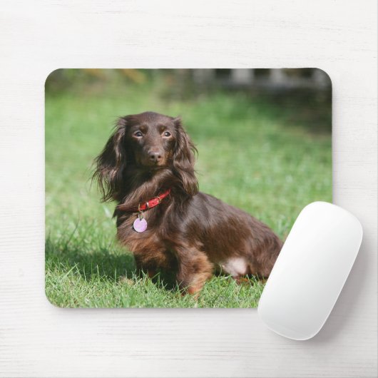 Chocolade en Tan Long-hire Miniature Dachshund Muismat (Met muis)