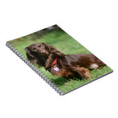 Chocolade en Tan Long-hire Miniature Dachshund Notitieboek (Rechterzijde)