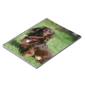 Chocolade en Tan Long-hire Miniature Dachshund Notitieboek (Linkerzijde)
