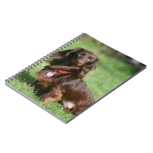 Chocolade en Tan Long-hire Miniature Dachshund Notitieboek (Linkerzijde)