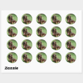 Chocolade en Tan Long-hire Miniature Dachshund Ronde Sticker (Vel)