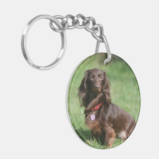 Chocolade en Tan Long-hire Miniature Dachshund Sleutelhanger (Voorkant Links)