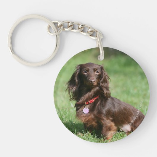 Chocolade en Tan Long-hire Miniature Dachshund Sleutelhanger (Voorkant)