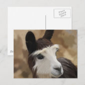 Chocolade en witte alpaca briefkaart (Voorkant / Achterkant)