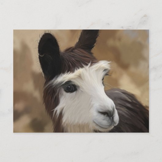 Chocolade en witte alpaca briefkaart (Voorkant)