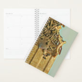 Chocolade-ijsvrucht Planner (Display)