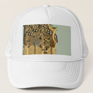Chocolade-ijsvrucht Trucker Pet